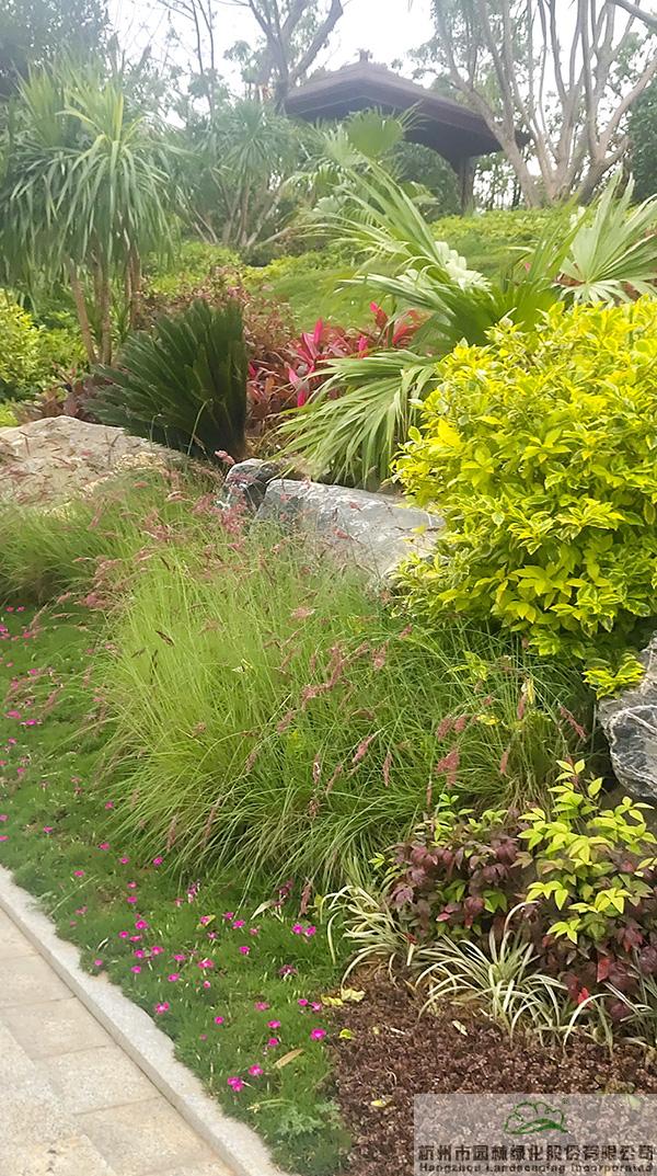 电竞比赛押注app