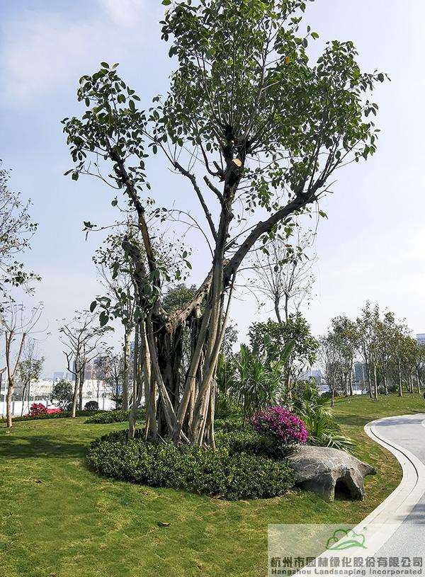 电竞比赛押注app