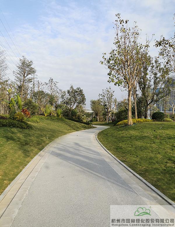 电竞比赛押注app