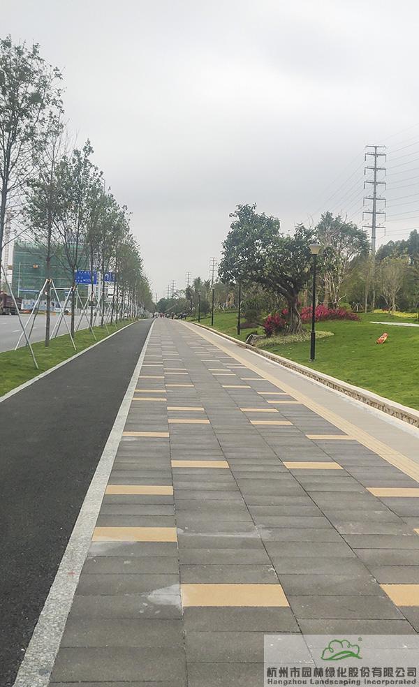 电竞比赛押注app