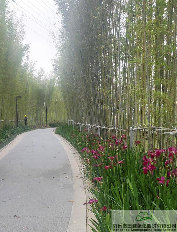 电竞比赛押注app