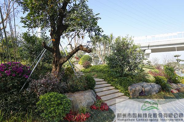 电竞比赛押注app