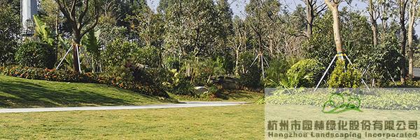 电竞比赛押注app