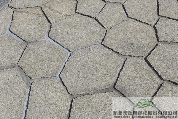 电竞比赛押注app