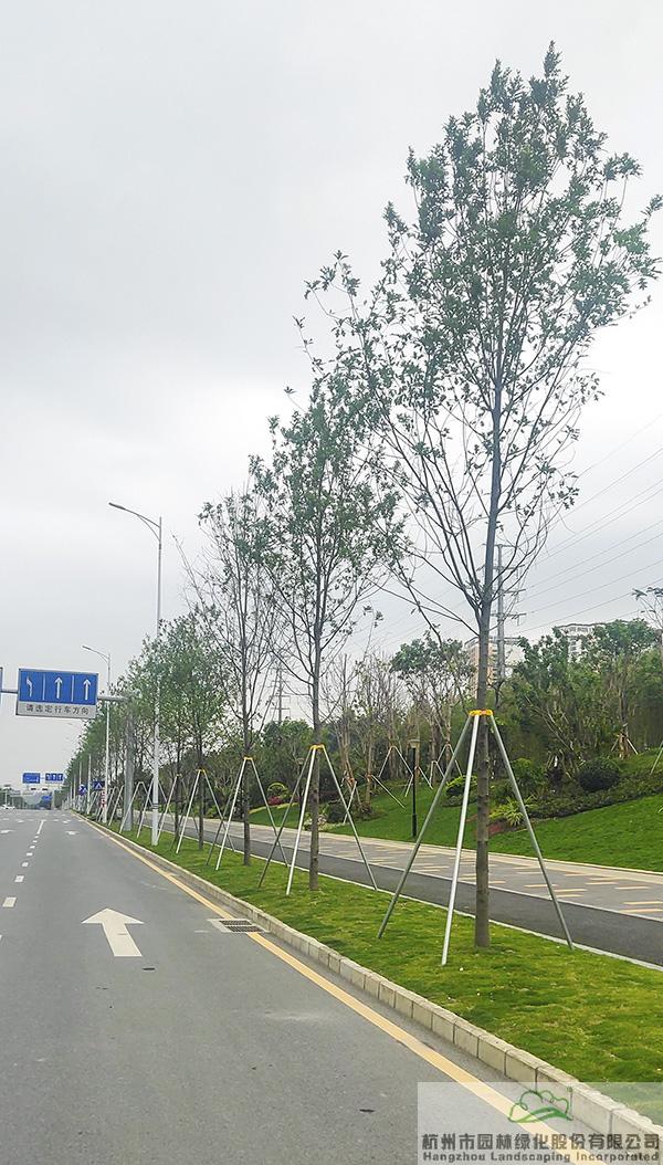 电竞比赛押注app