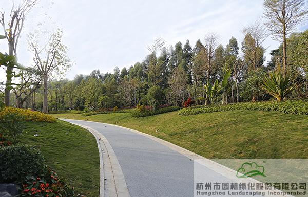 电竞比赛押注app