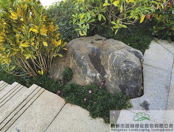 电竞比赛押注app