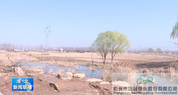 电竞比赛押注app