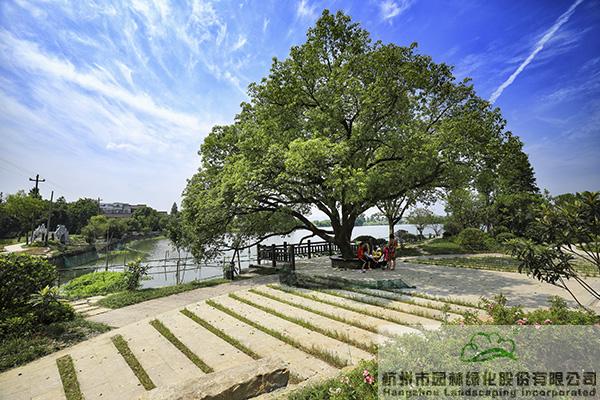 电竞比赛押注app