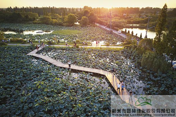 电竞比赛押注app