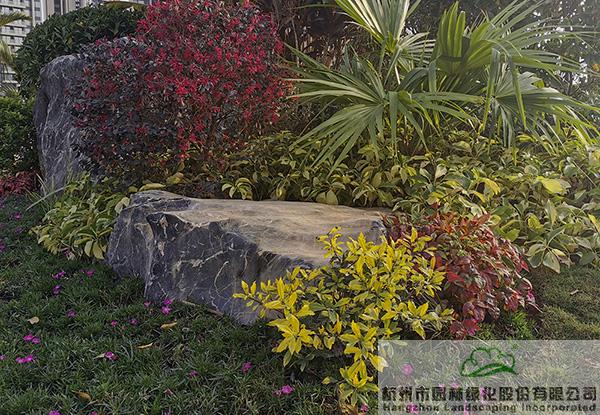 电竞比赛押注app