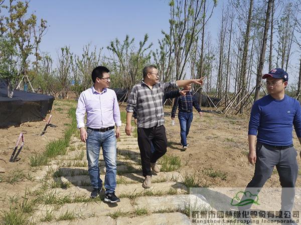 电竞比赛押注app