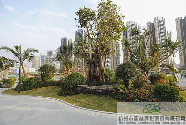 电竞比赛押注app