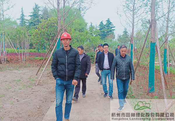 电竞比赛押注app