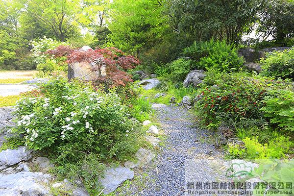 电竞比赛押注app