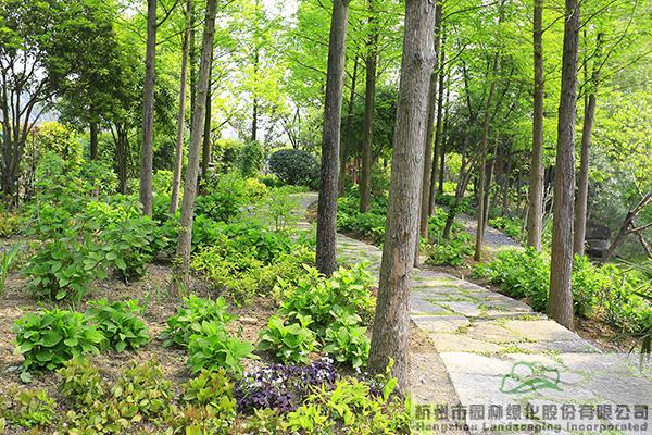 电竞比赛押注app