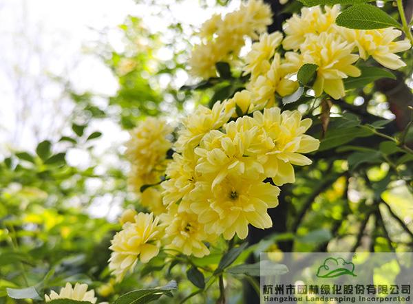 电竞比赛押注app