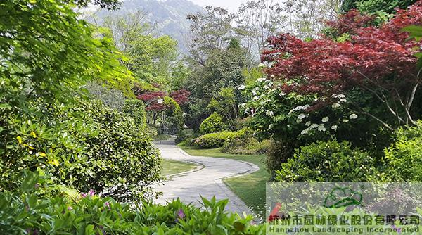 电竞比赛押注app