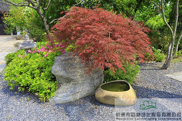 电竞比赛押注app