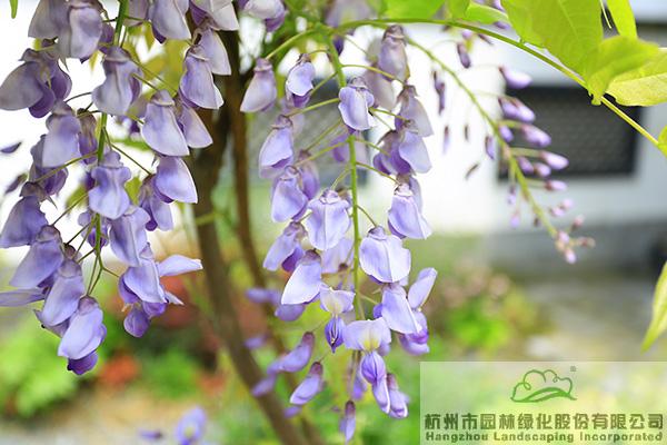 电竞比赛押注app