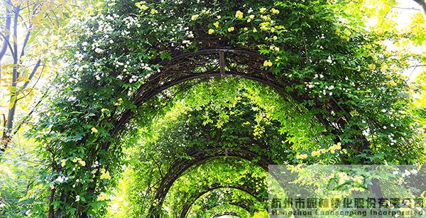 电竞比赛押注app