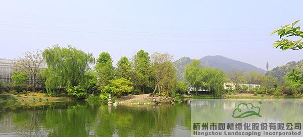 电竞比赛押注app