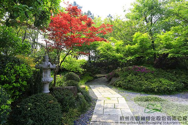 电竞比赛押注app