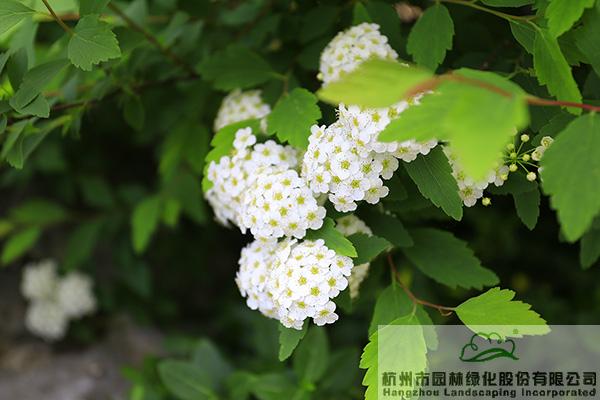 电竞比赛押注app