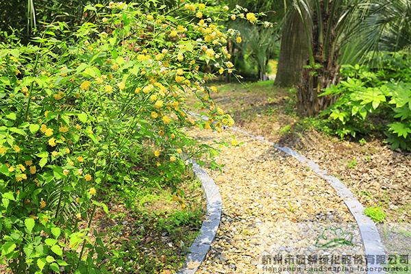 电竞比赛押注app