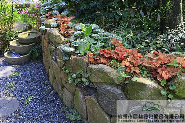 电竞比赛押注app