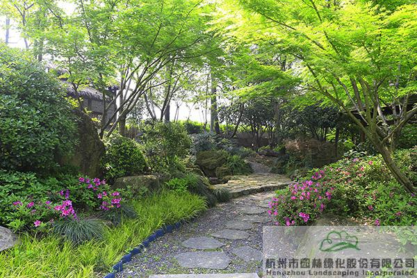 电竞比赛押注app