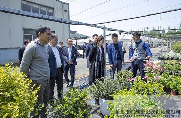 电竞比赛押注app