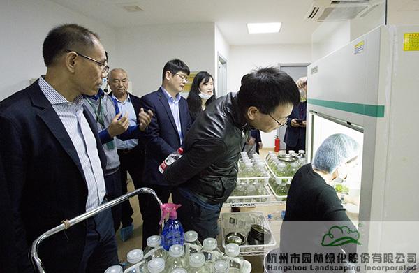 电竞比赛押注app