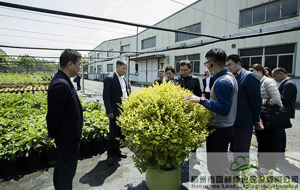 电竞比赛押注app