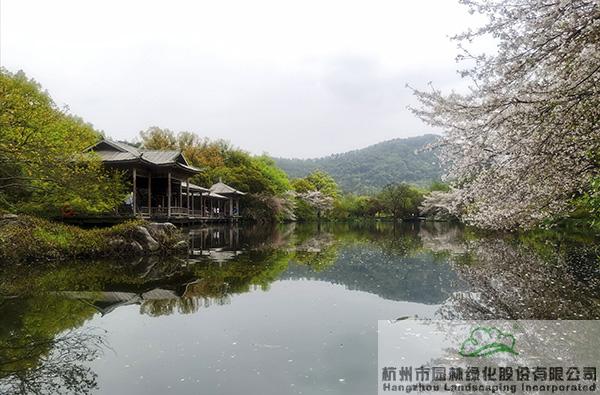 电竞比赛押注app