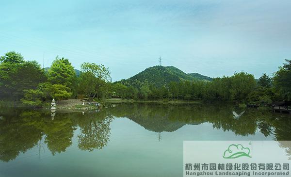 电竞比赛押注app