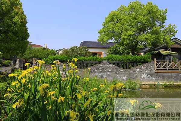 电竞比赛押注app