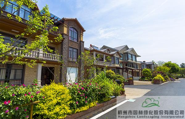 电竞比赛押注app