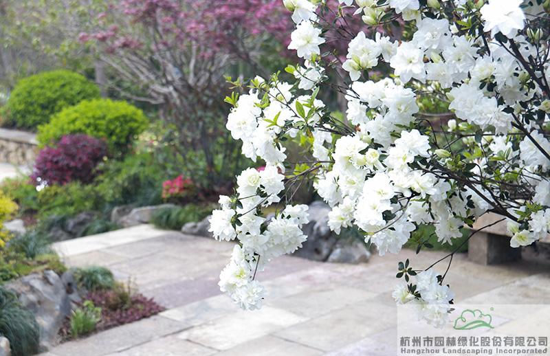 电竞比赛押注app