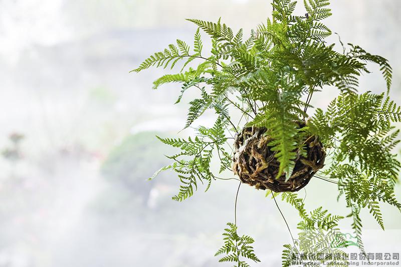 电竞比赛押注app