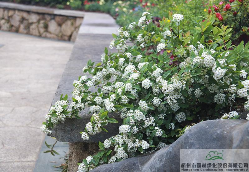 电竞比赛押注app