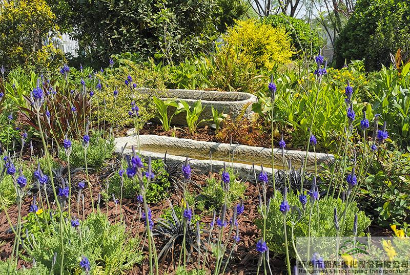 电竞比赛押注app