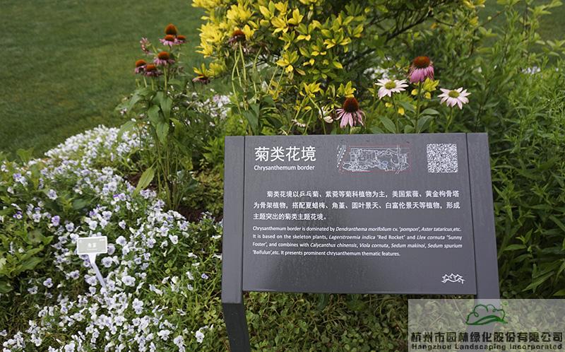 电竞比赛押注app