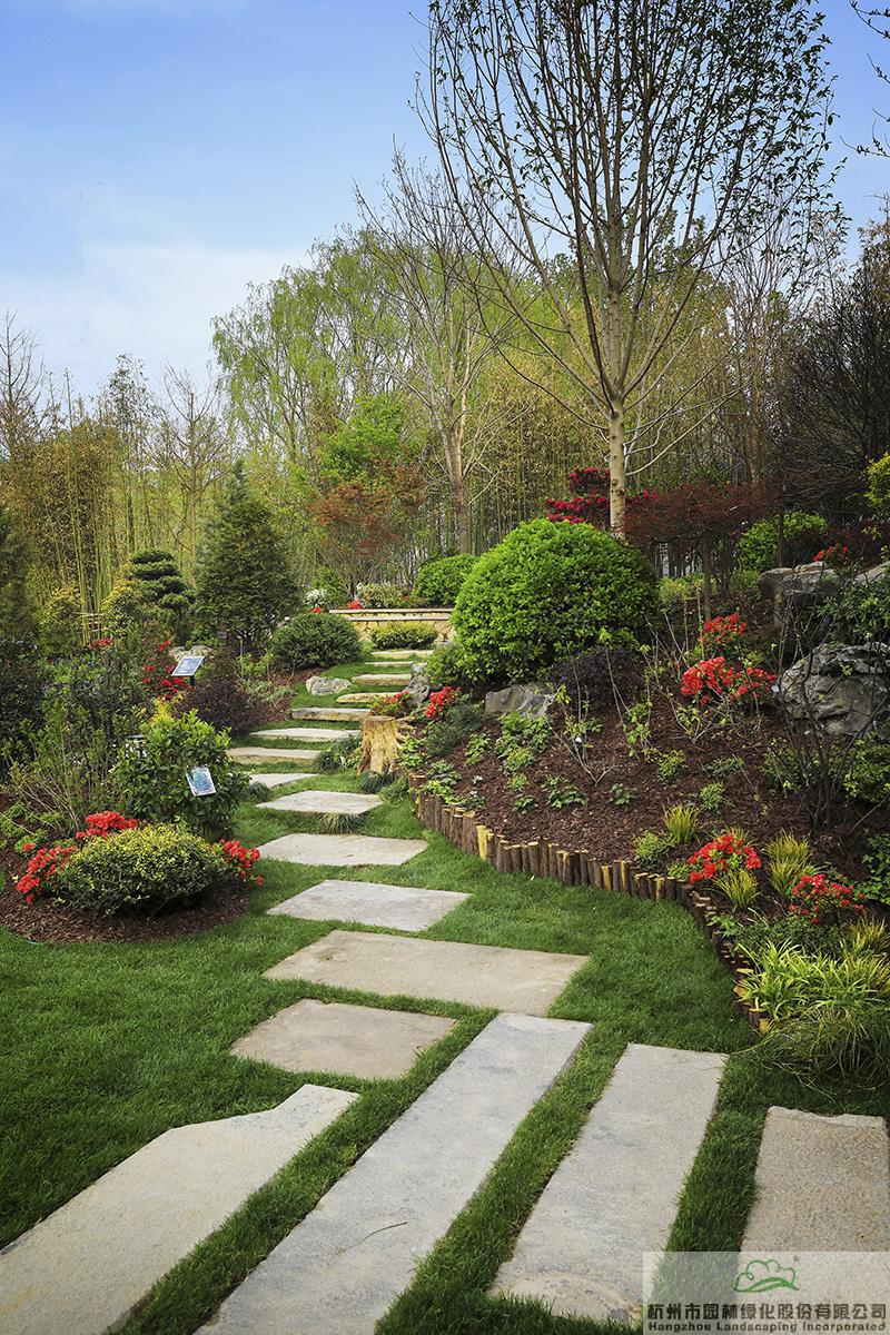 电竞比赛押注app