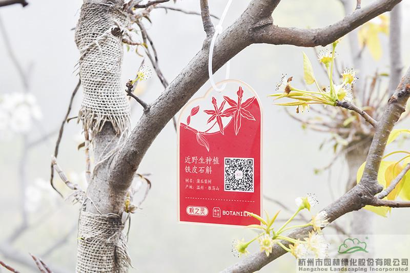 电竞比赛押注app