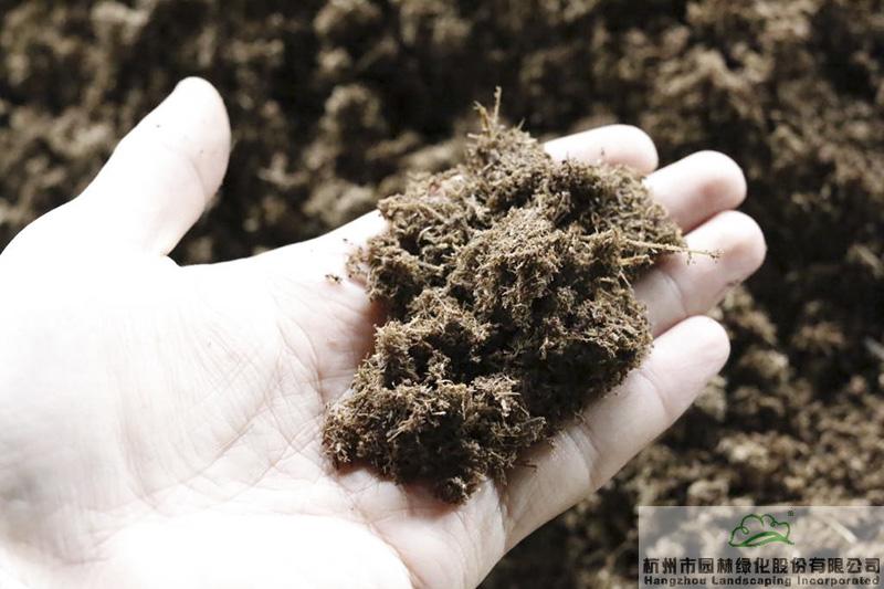 电竞比赛押注app