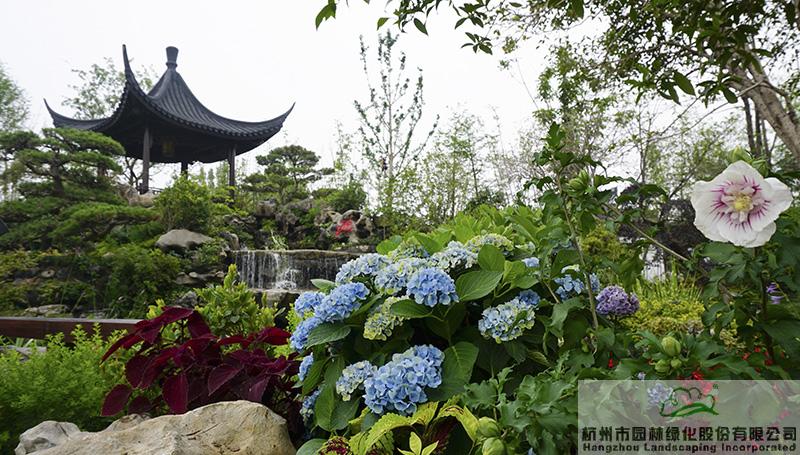 电竞比赛押注app