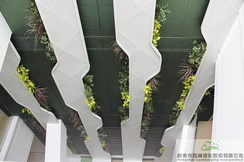 电竞比赛押注app