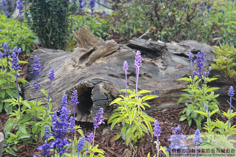 电竞比赛押注app