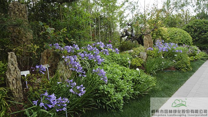 电竞比赛押注app